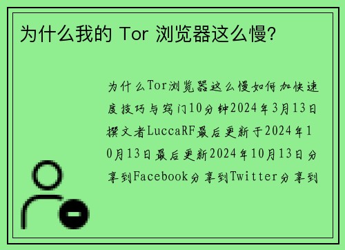 为什么我的 Tor 浏览器这么慢？ 